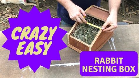 honey bunny nesting box